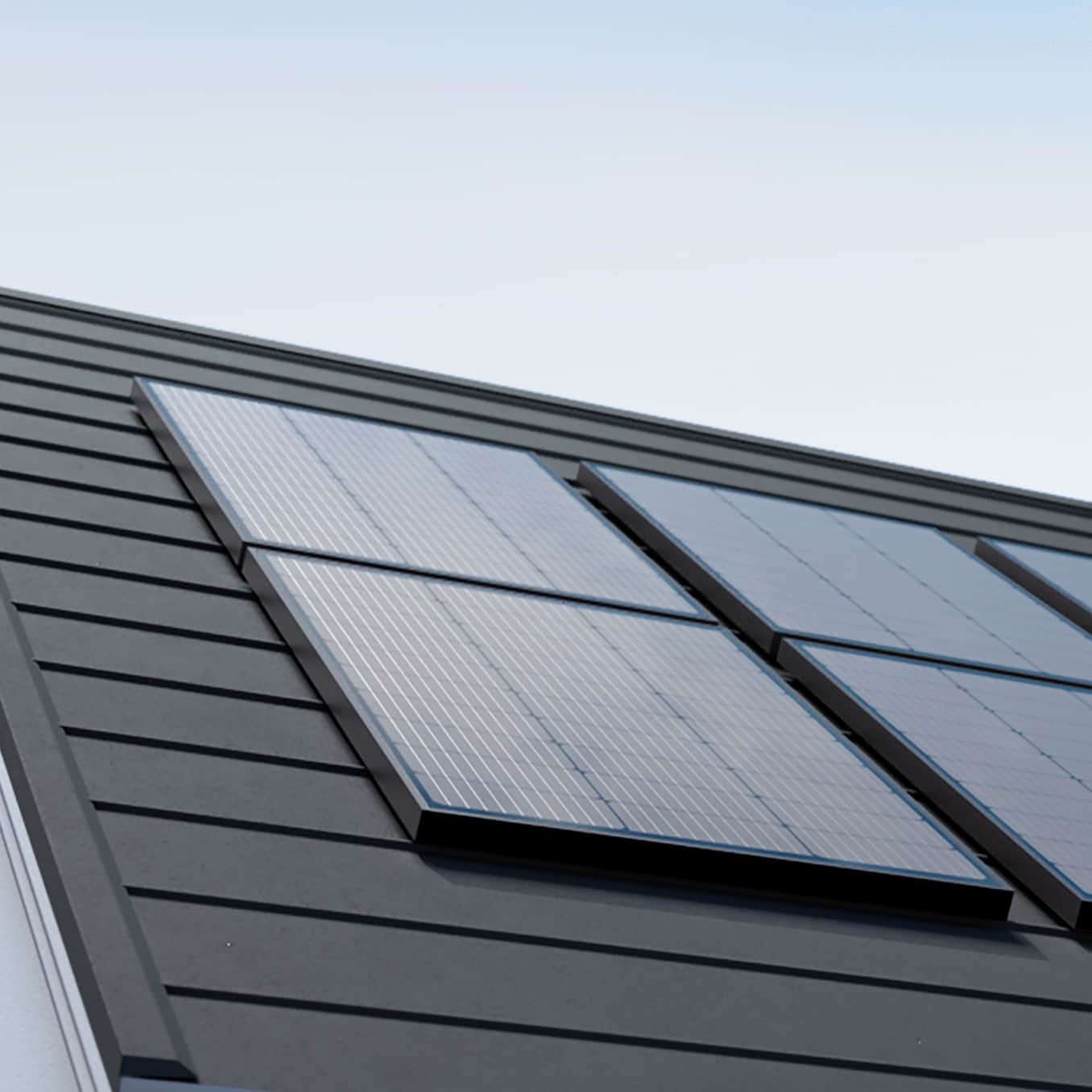 EcoFlow Mono-Solarpanel 100 Watt starr (Set à 2 Stück)