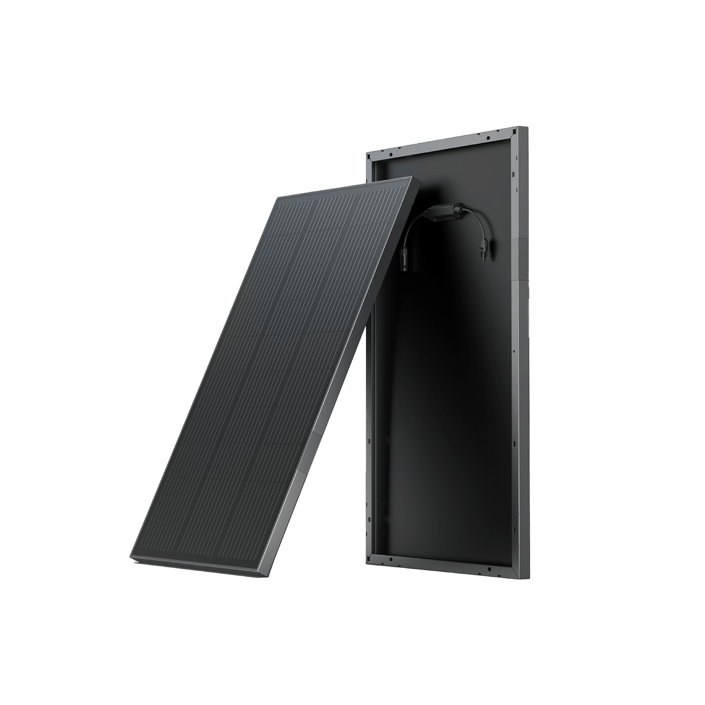 EcoFlow Mono-Solarpanel 100 Watt starr (Set à 2 Stück)
