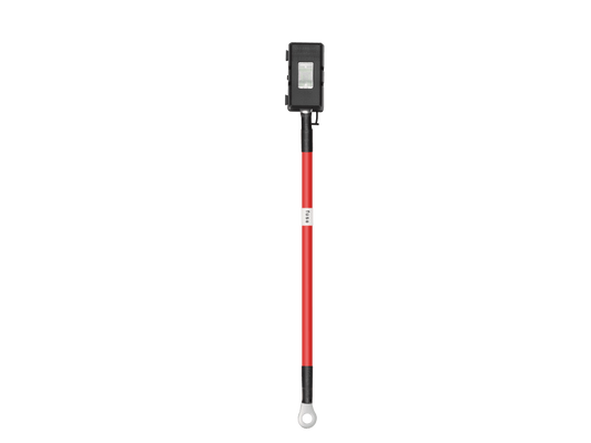 EcoFlow Batteriesicherung für Alternator Charger 800 W